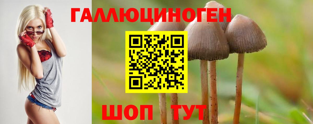 Галлюциногенные грибы GOLDEN TEACHER Югорск